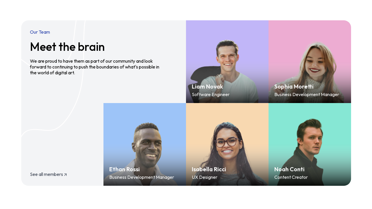 Meet the Team Section